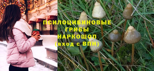 тгк Богородск